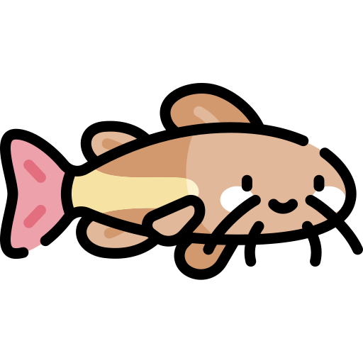 Catfish